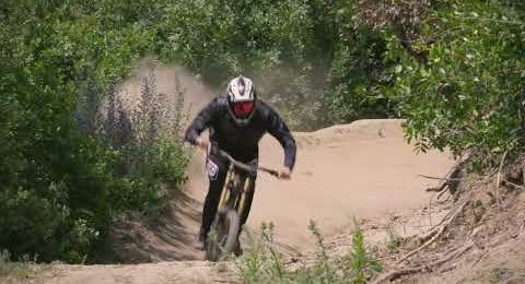 NEW GALFER SHARK EVO DISC