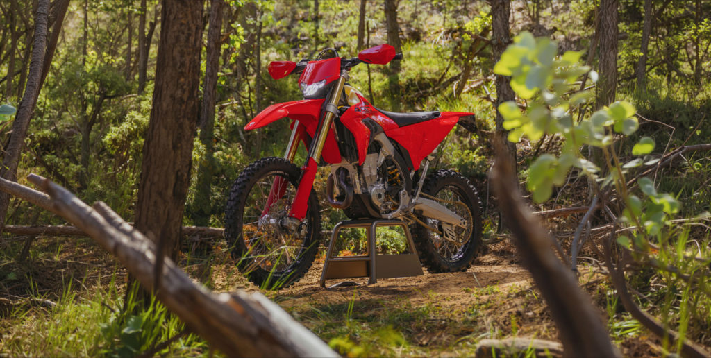 2027 ducati desmo450 eds 36 copia 2
