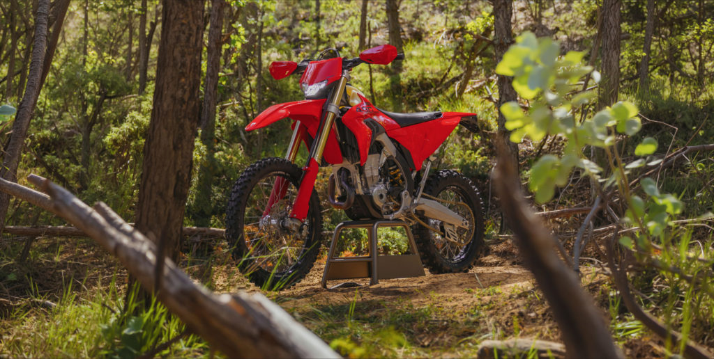 2027 ducati desmo450 eds 36 copia 2