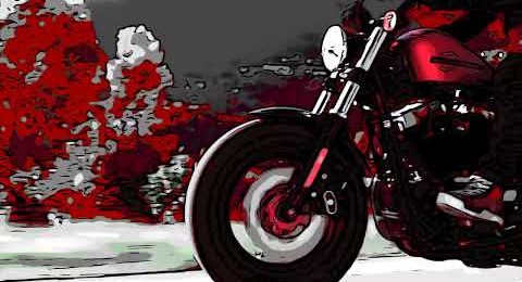 New Galfer colored Disc W for Custom motorbikes