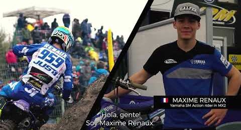 New brake pads G1396R (2019)