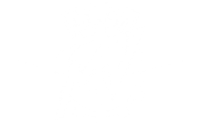 customer.logo.brand_name